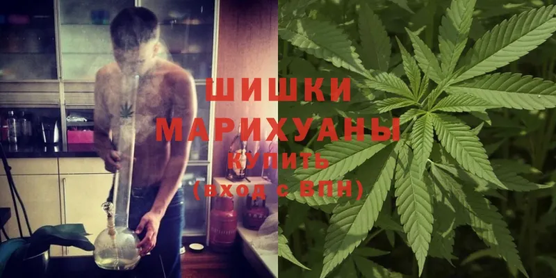 Бошки марихуана White Widow  Оленегорск 